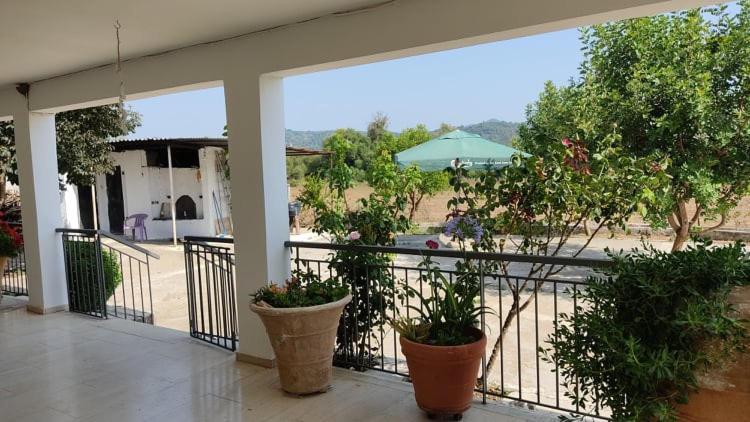 Mallios Country House Near Ancient Olympia Luaran gambar