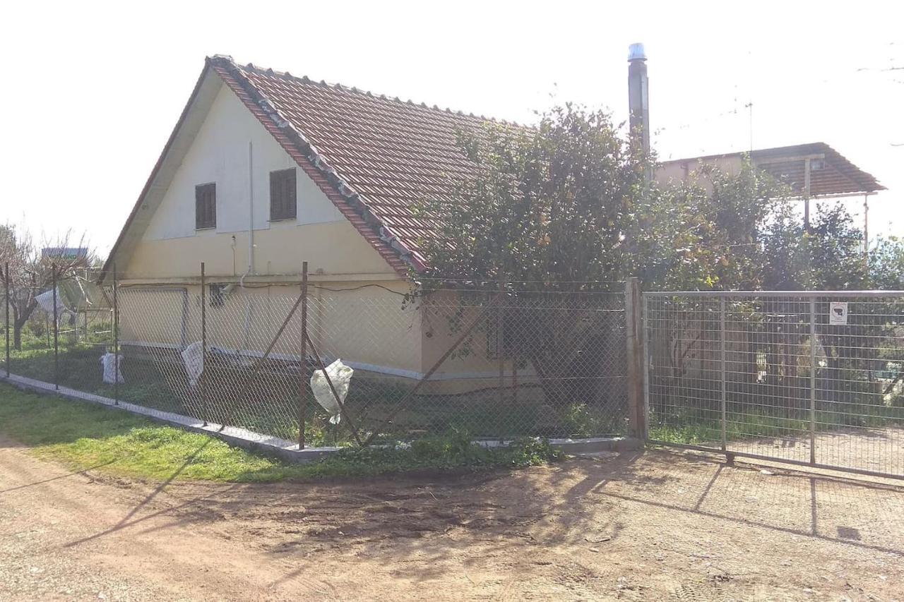 Mallios Country House Near Ancient Olympia Luaran gambar